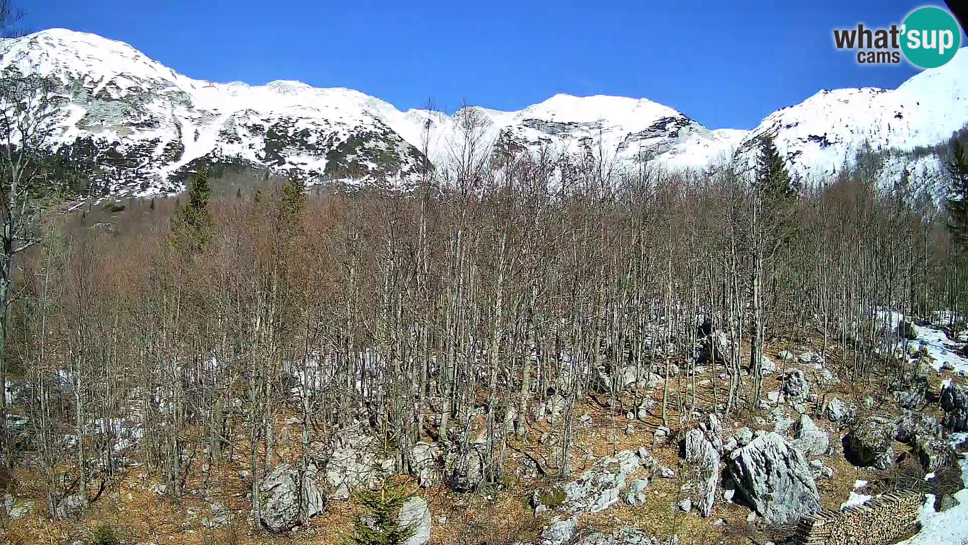 Cámara web PLANINA RAZOR (1315) | vista a Vogel y Globoko