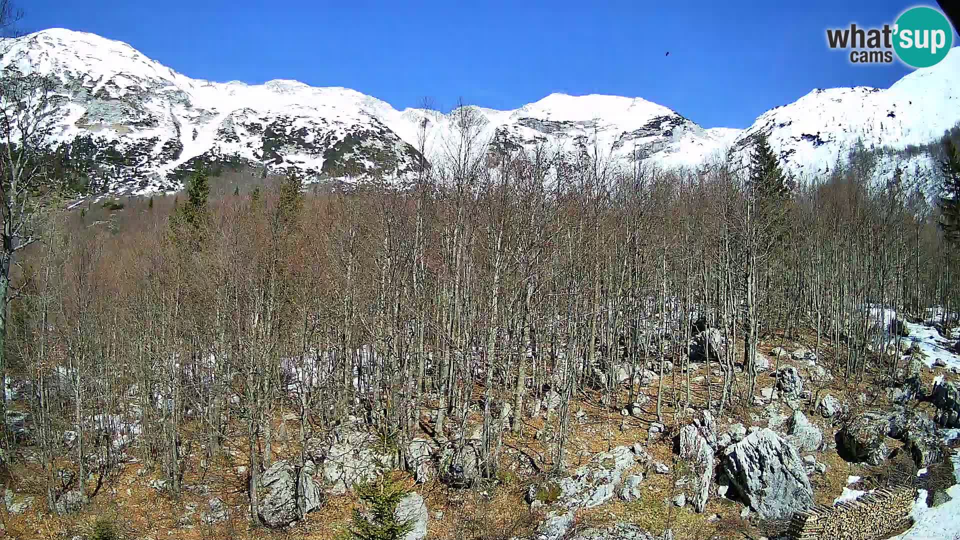 PLANINA RAZOR web kamera (1315) | pogled na Vogel i Globoko