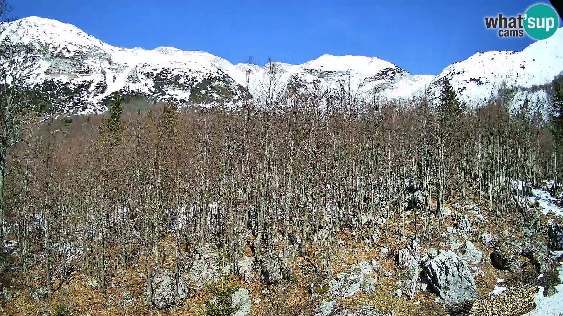 PLANINA RAZOR Live Cam (1315) | vista su Vogel e Globoko