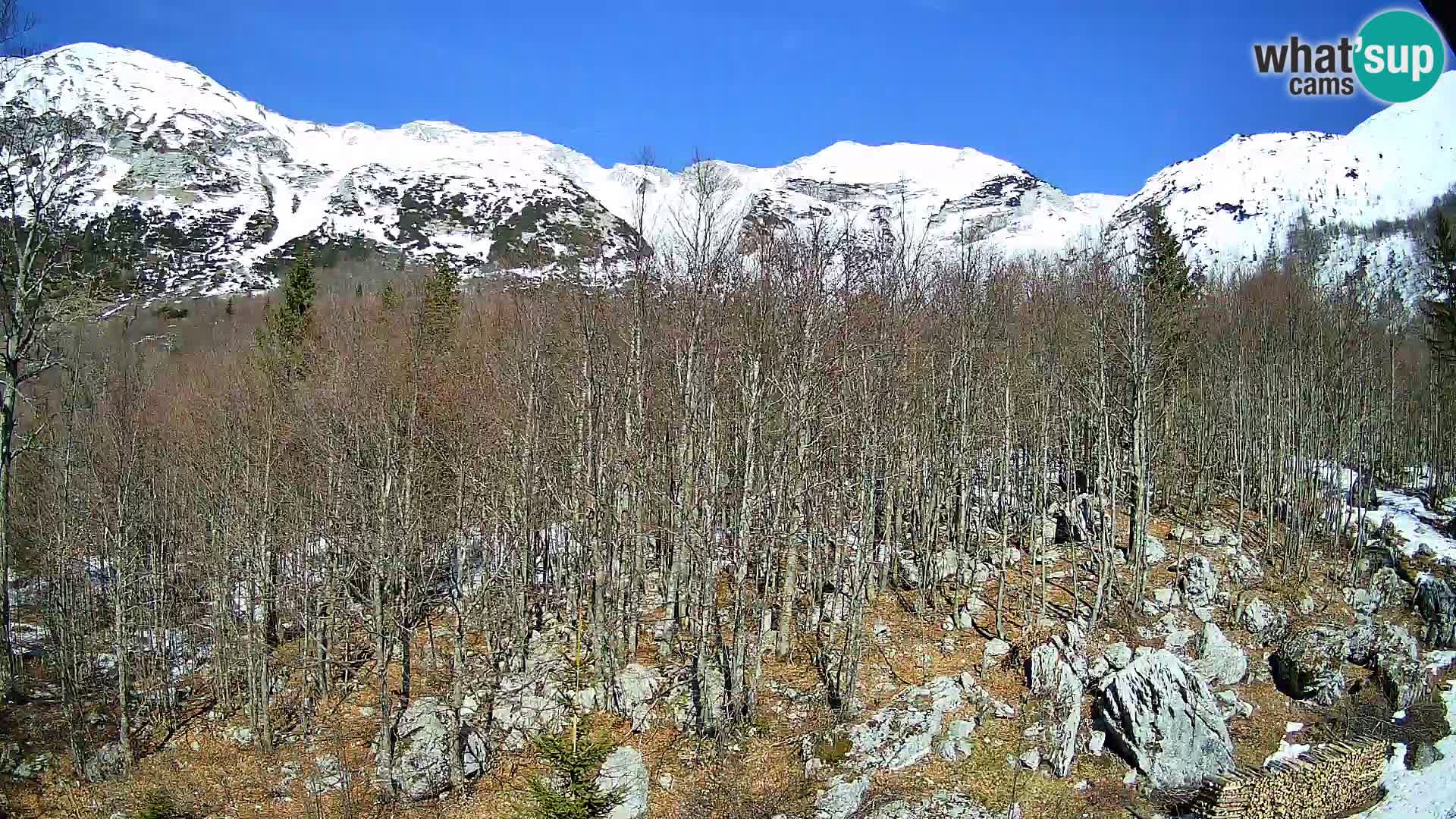 Webcam PLANINA RAZOR (1315) | Blick auf Vogel und Globoko
