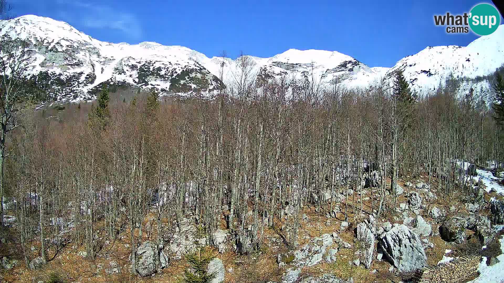 Cámara web PLANINA RAZOR (1315) | vista a Vogel y Globoko