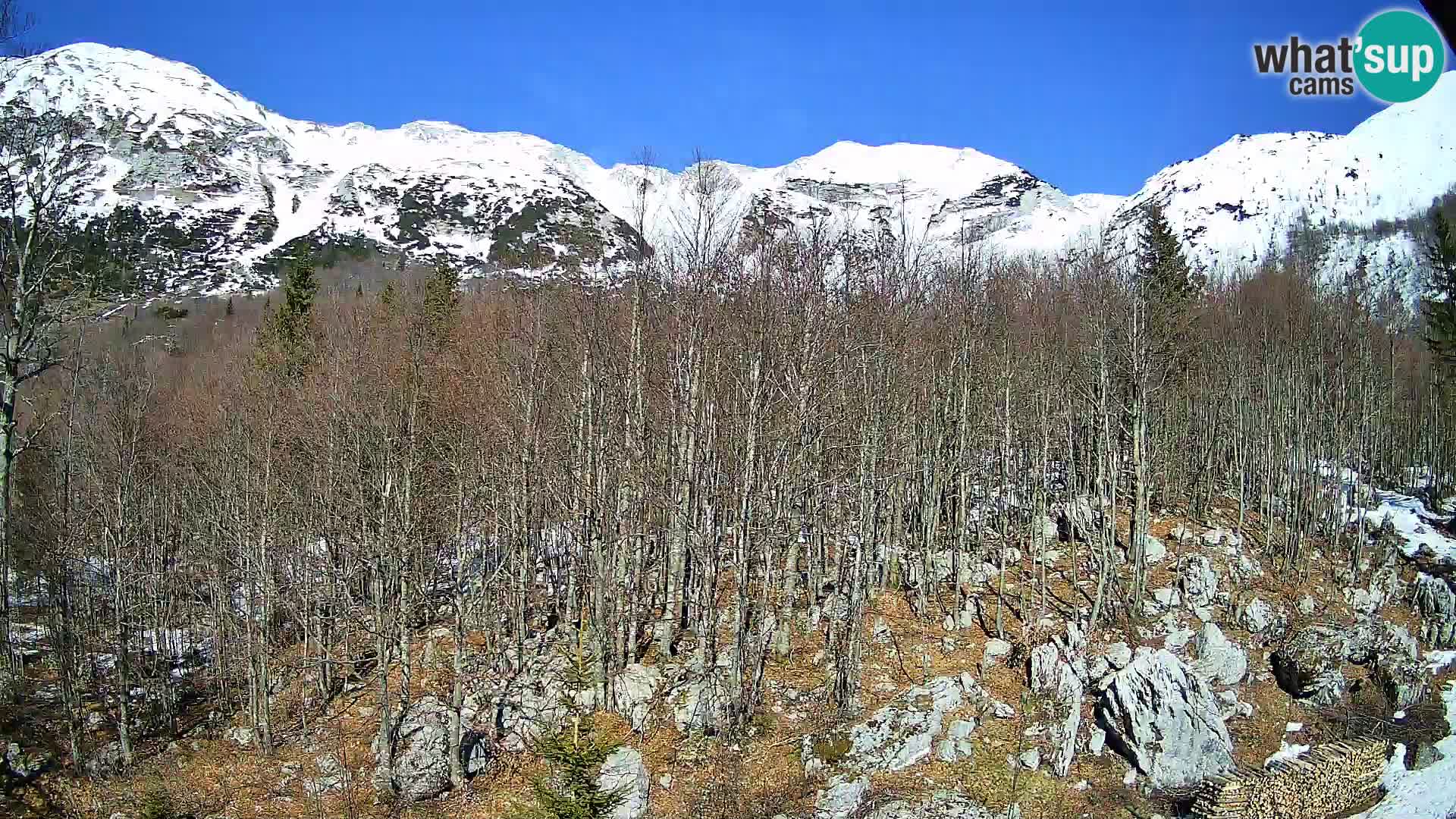 Cámara web PLANINA RAZOR (1315) | vista a Vogel y Globoko