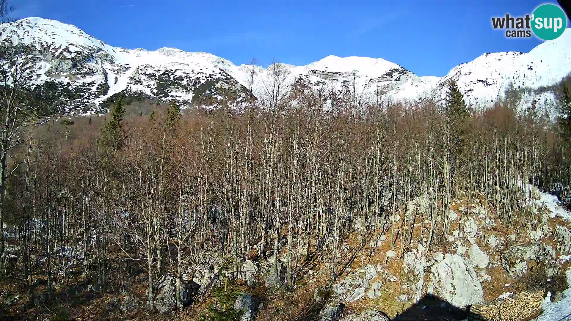 PLANINA RAZOR webcam (1315) | view to Vogel and Globoko
