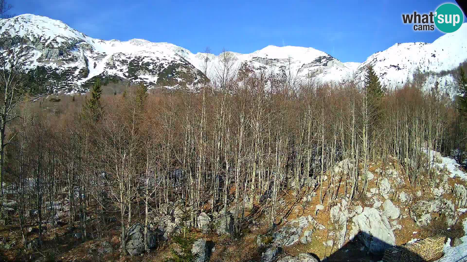 PLANINA RAZOR kamera (1315) | pogled na Vogel in Globoko