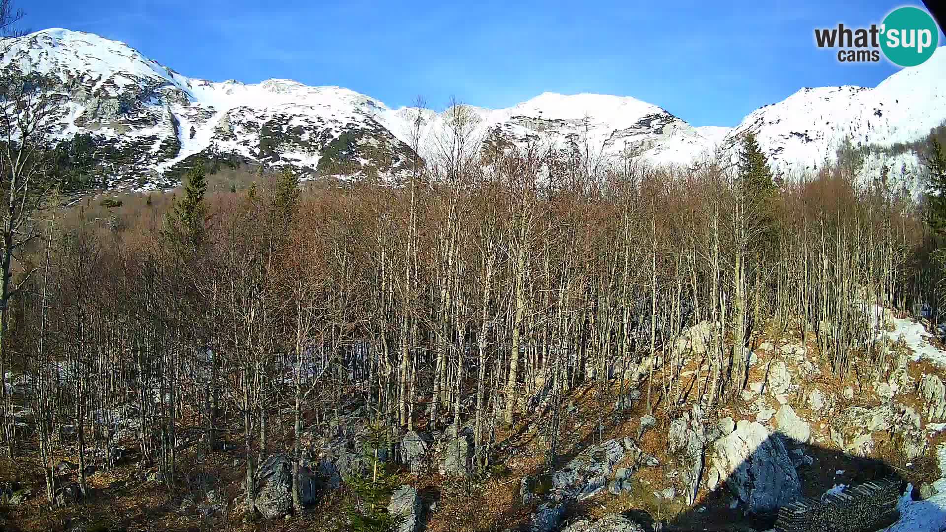 PLANINA RAZOR webcam (1315) | view to Vogel and Globoko
