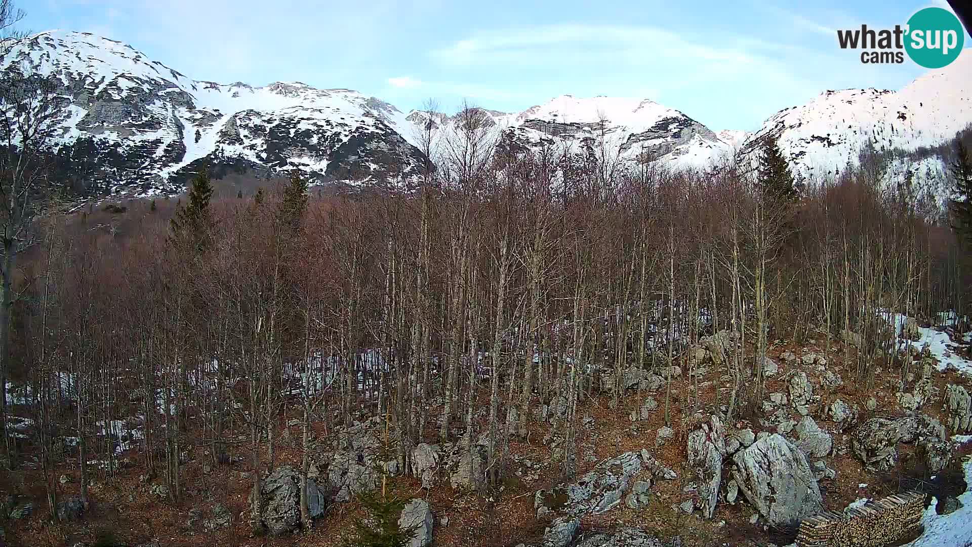 PLANINA RAZOR Live Cam (1315) | vista su Vogel e Globoko