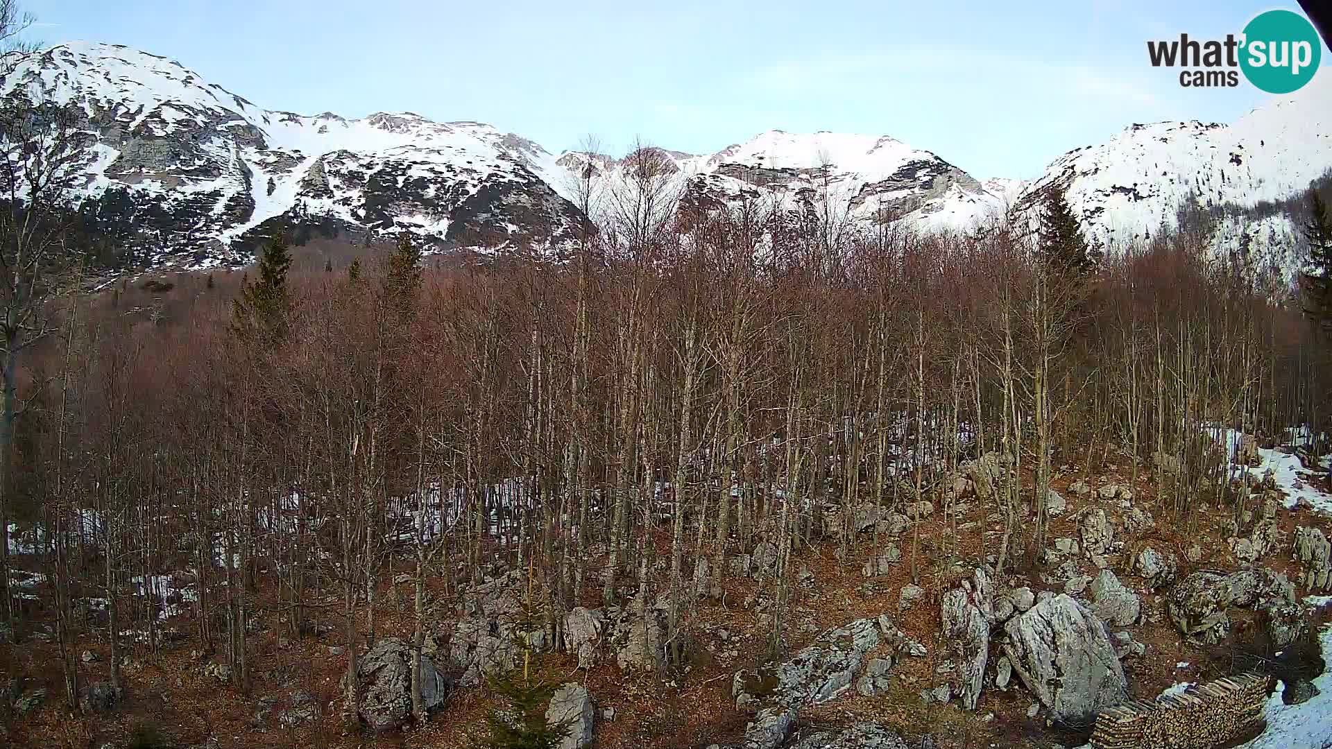 PLANINA RAZOR webcam (1315) | view to Vogel and Globoko