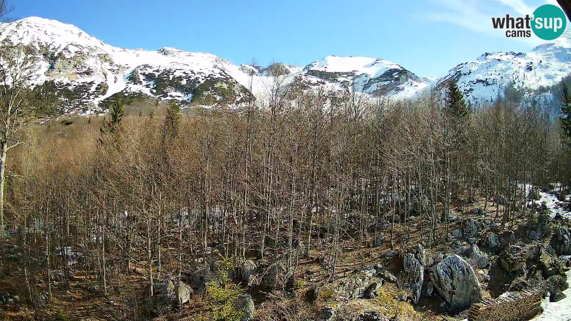 PLANINA RAZOR webcam (1315) | view to Vogel and Globoko