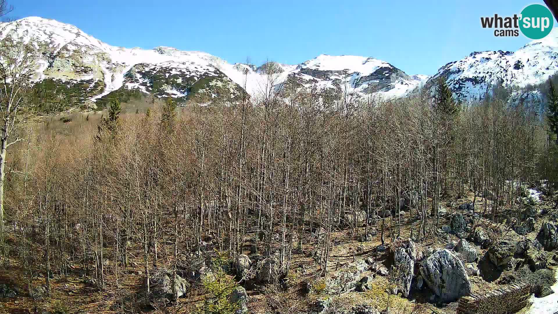 PLANINA RAZOR webcam (1315) | view to Vogel and Globoko