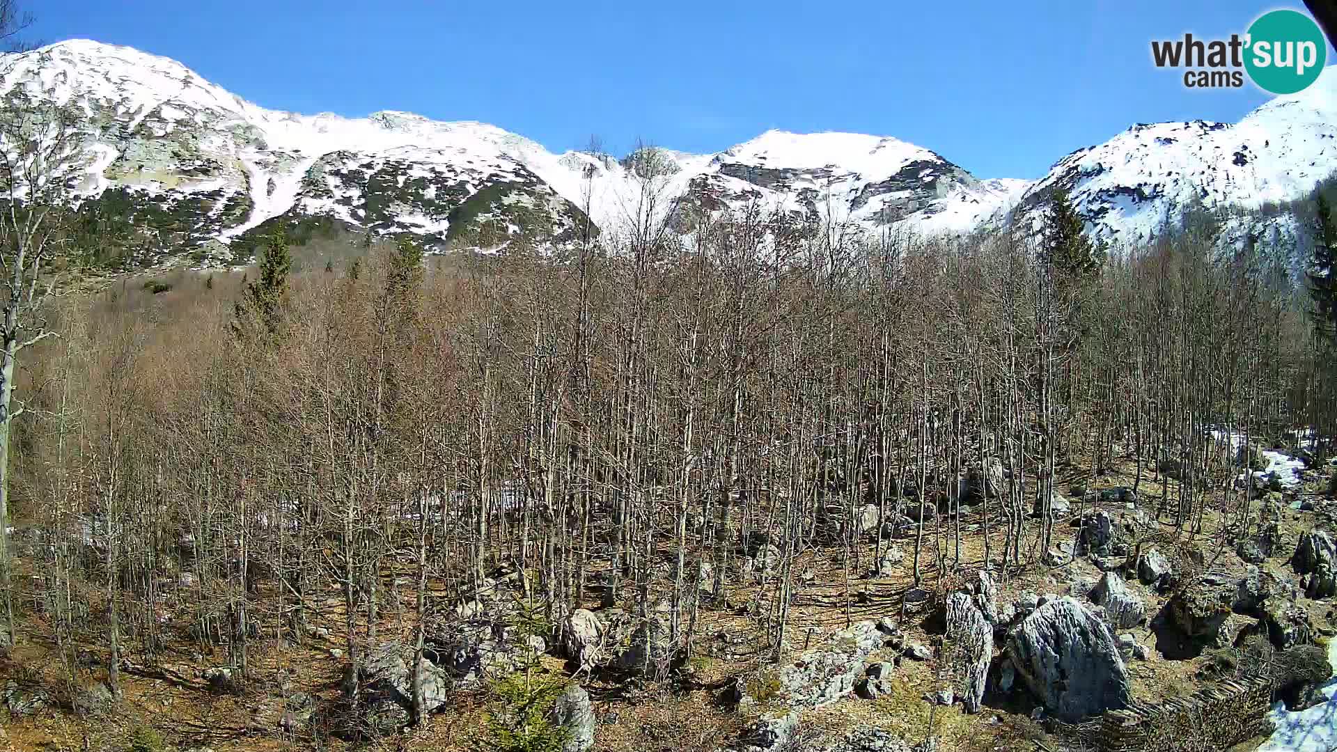 PLANINA RAZOR kamera (1315) | pogled na Vogel in Globoko