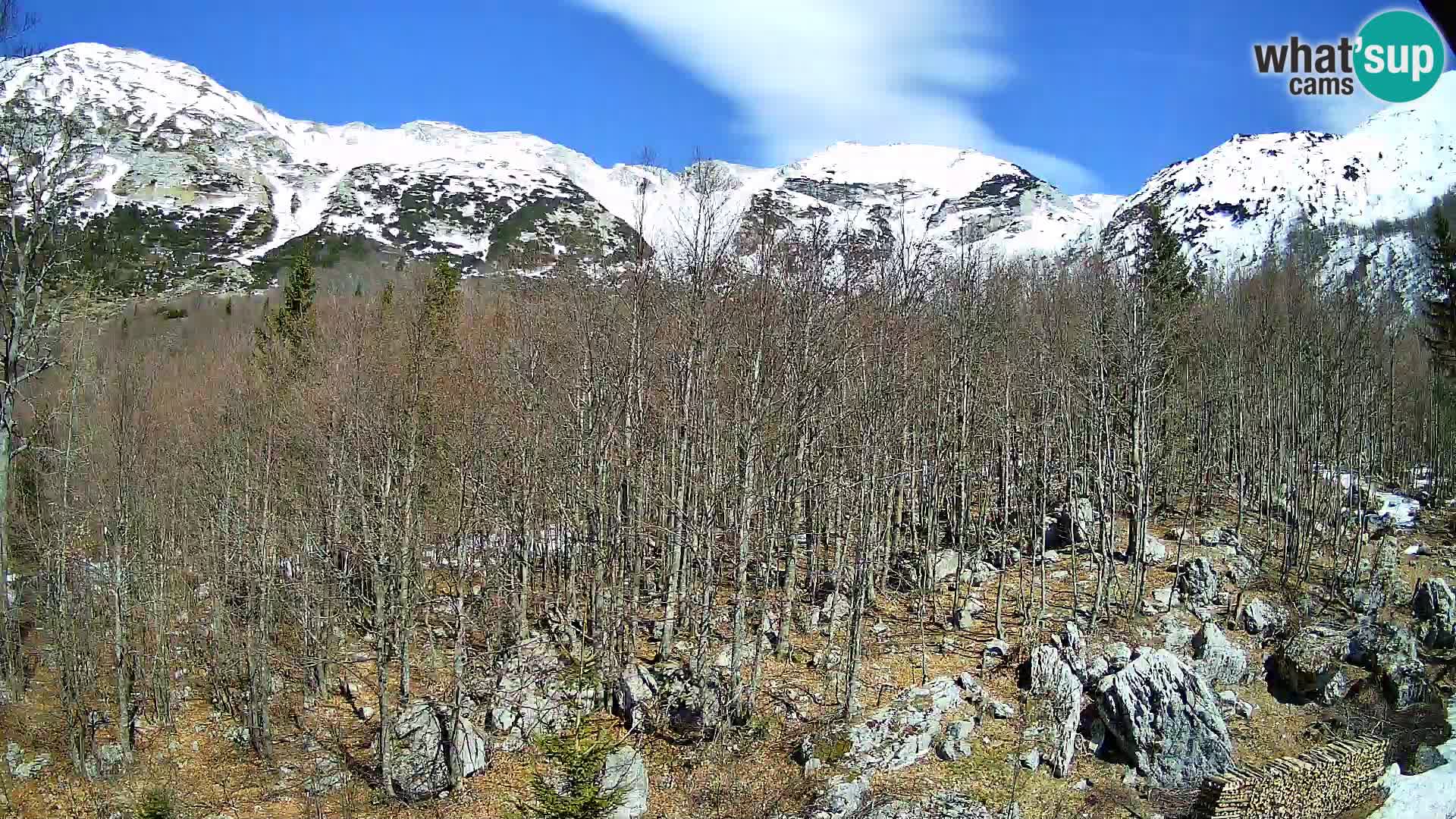 PLANINA RAZOR kamera (1315) | pogled na Vogel in Globoko