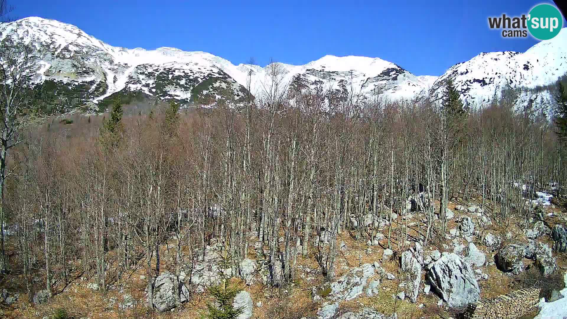 Webcam PLANINA RAZOR (1315) | Blick auf Vogel und Globoko