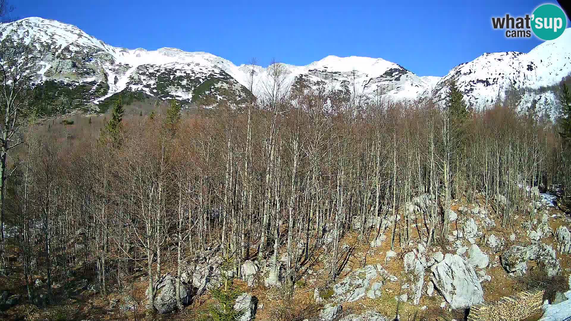 Webcam PLANINA RAZOR (1315) | Blick auf Vogel und Globoko