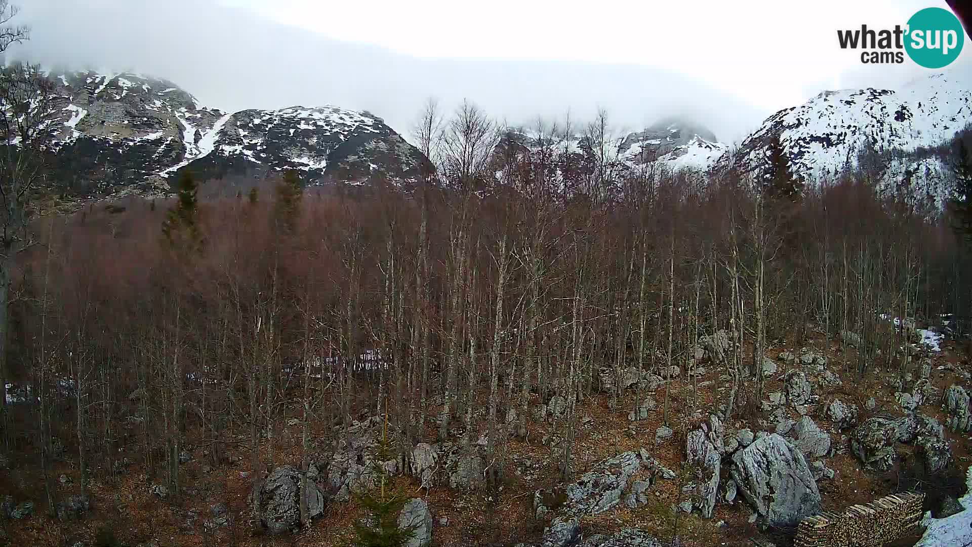 PLANINA RAZOR kamera (1315) | pogled na Vogel in Globoko