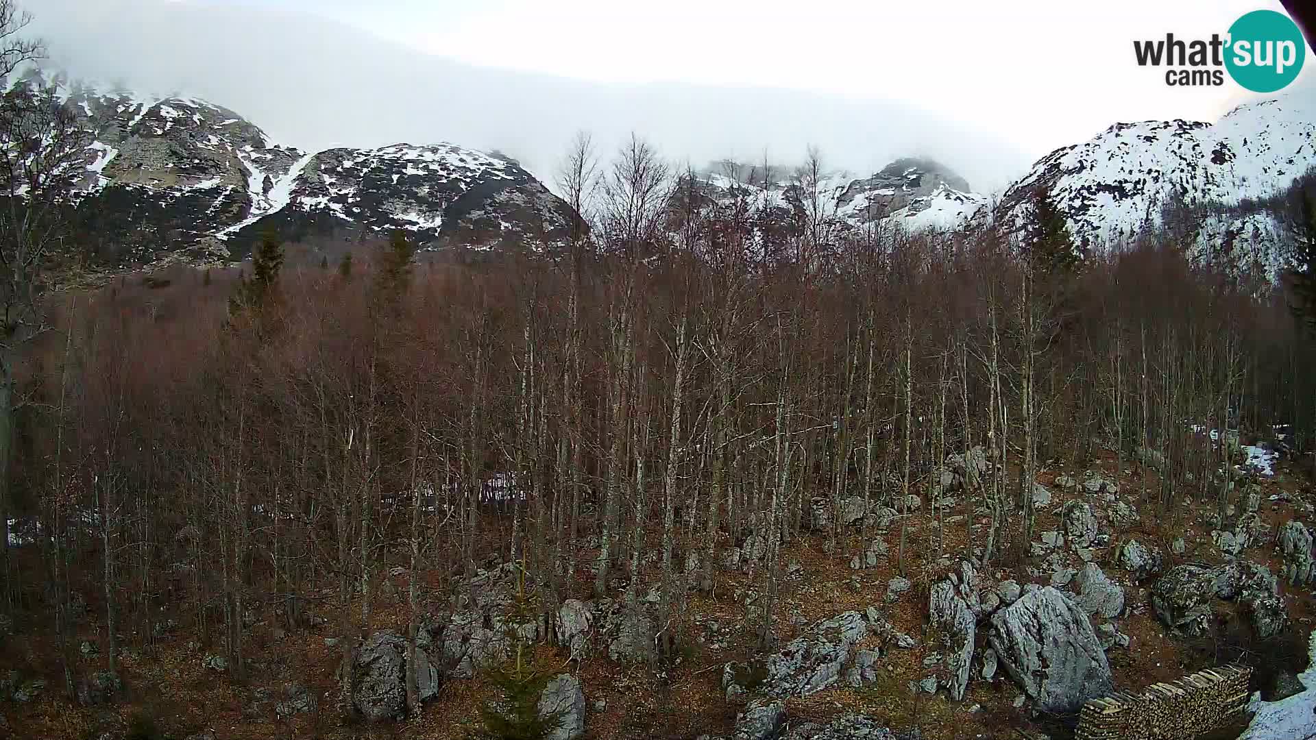 Webcam PLANINA RAZOR (1315) | Blick auf Vogel und Globoko