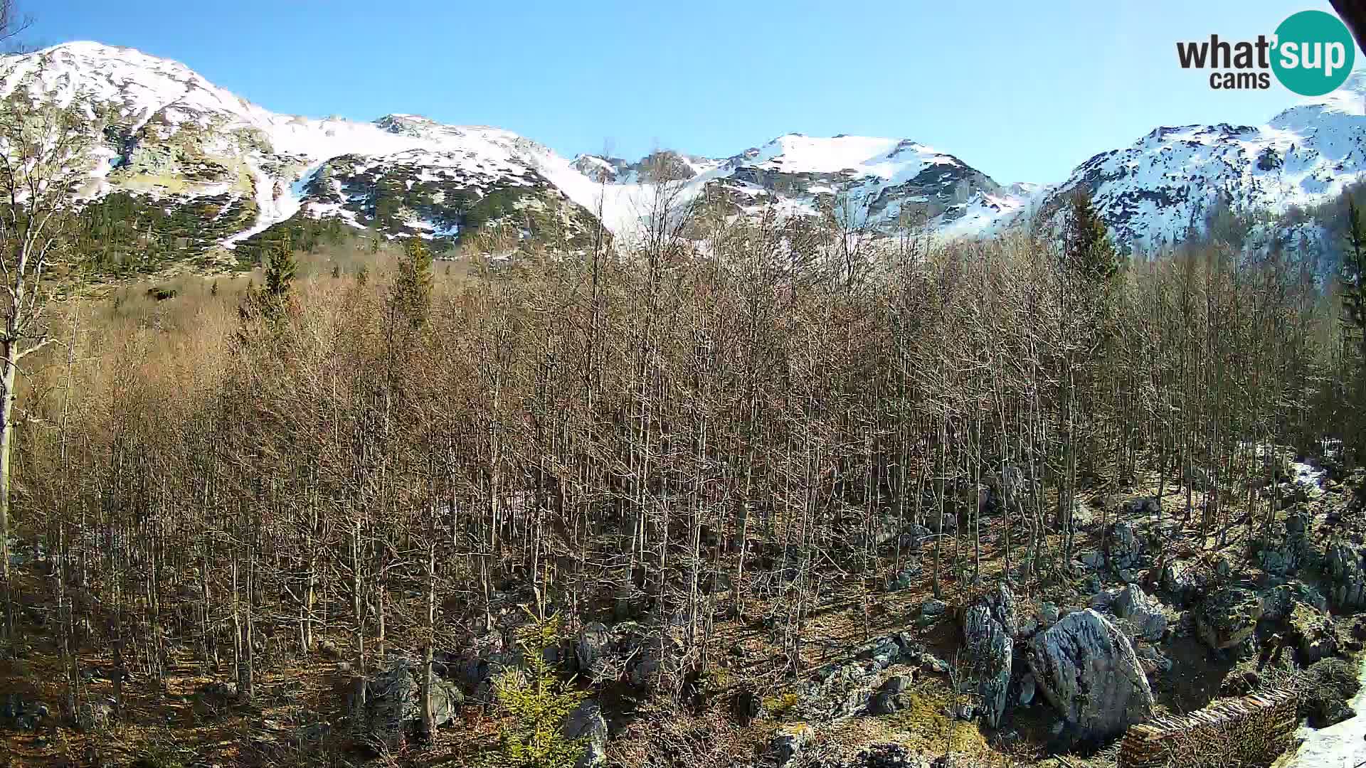 Webcam PLANINA RAZOR (1315) | Blick auf Vogel und Globoko