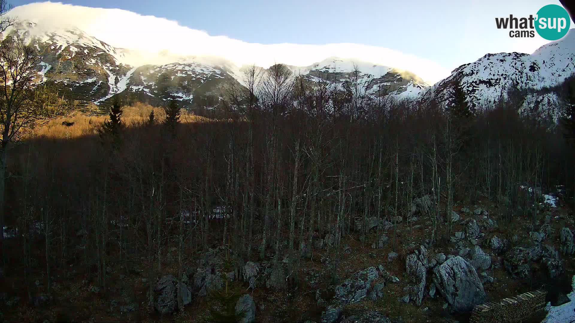Livecam PLANINA RAZOR (1315) | vue sur Vogel et Globoko