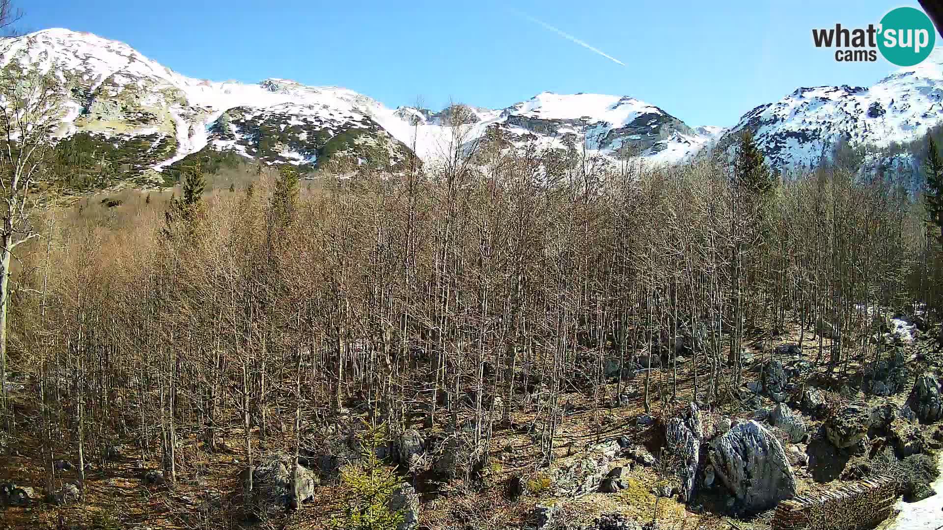 Livecam PLANINA RAZOR (1315) | vue sur Vogel et Globoko