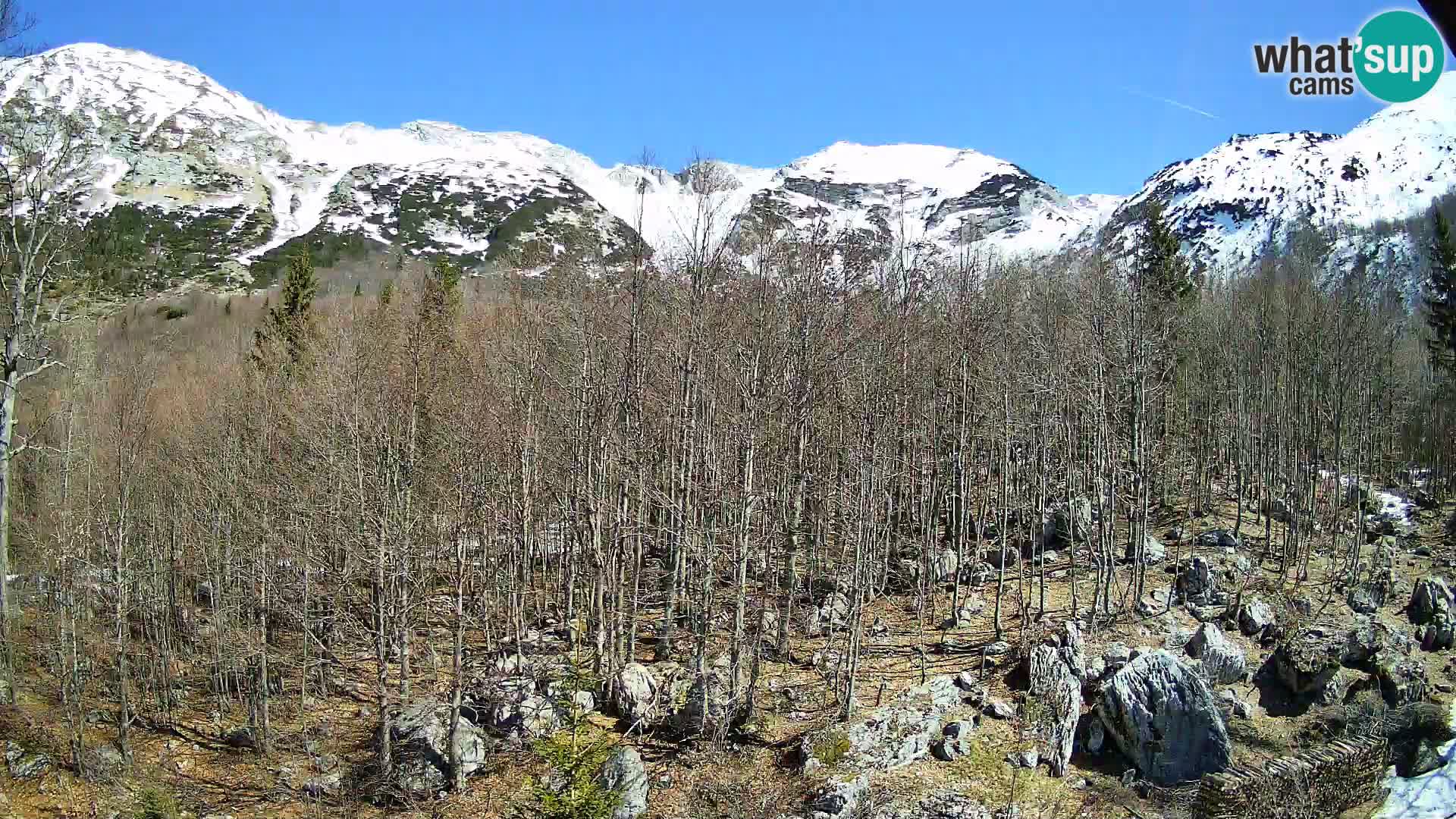 PLANINA RAZOR kamera (1315) | pogled na Vogel in Globoko