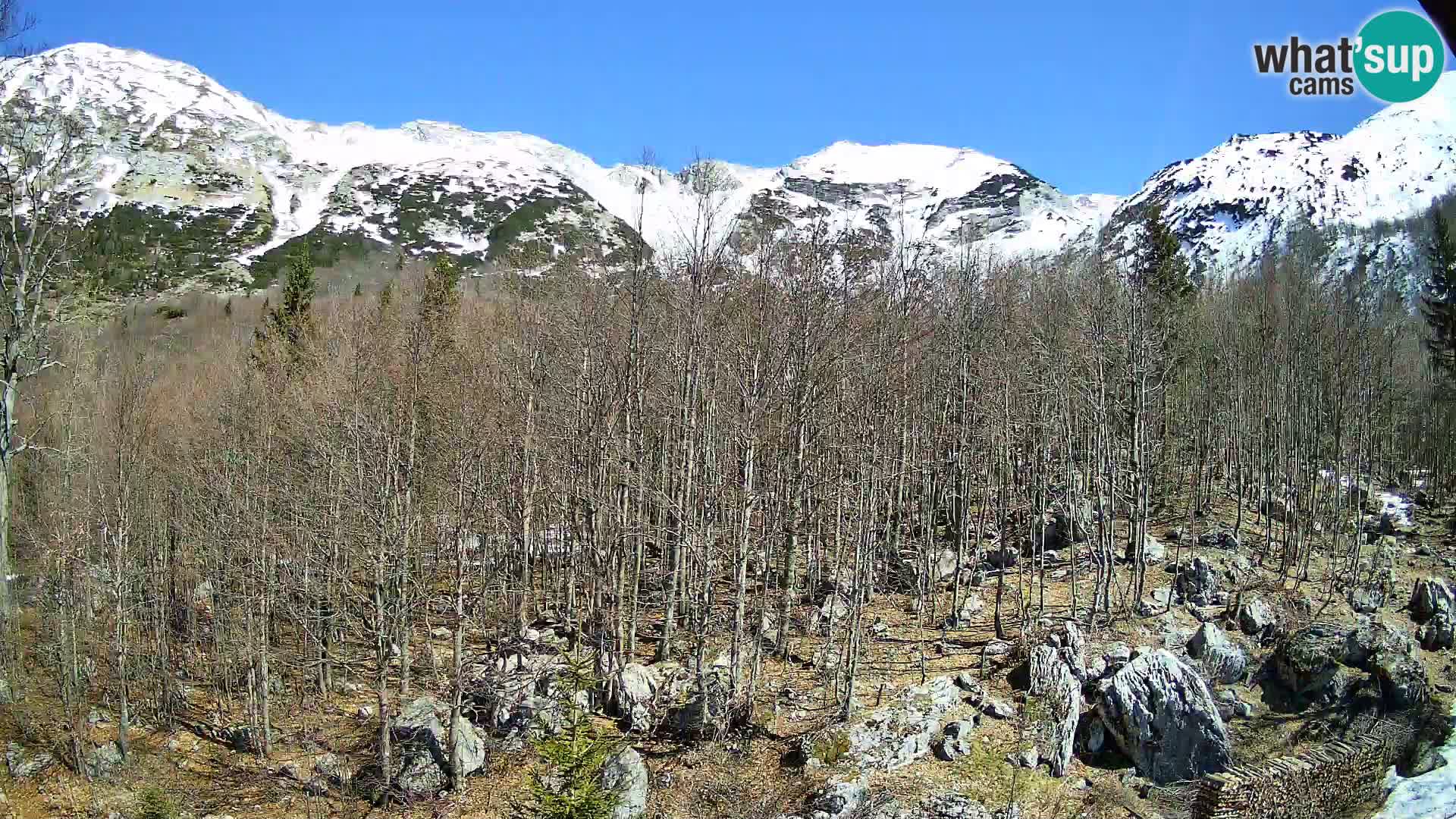 PLANINA RAZOR webcam (1315) | view to Vogel and Globoko