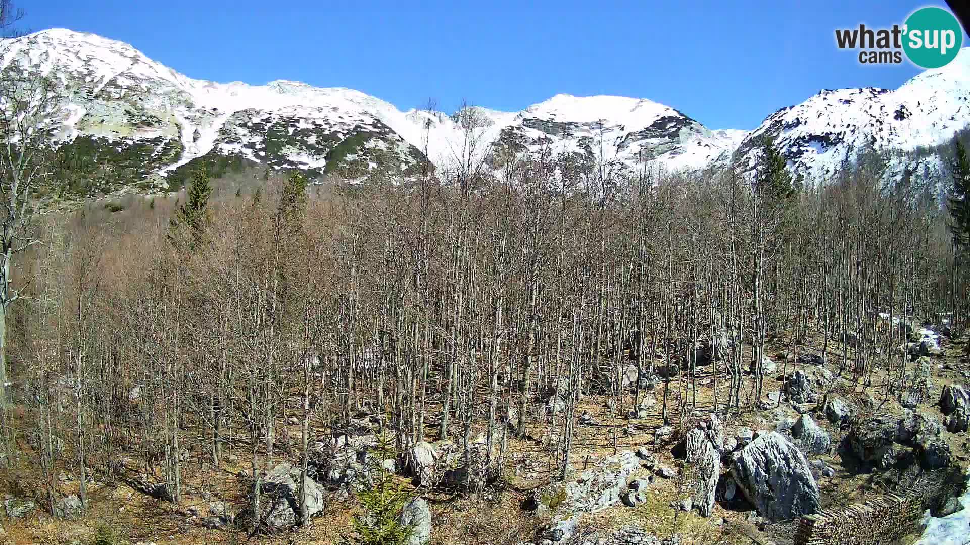 Livecam PLANINA RAZOR (1315) | vue sur Vogel et Globoko