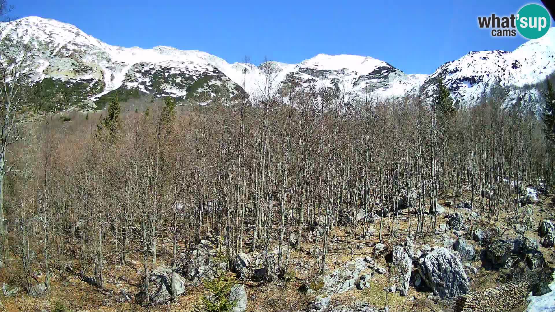 Webcam PLANINA RAZOR (1315) | Blick auf Vogel und Globoko