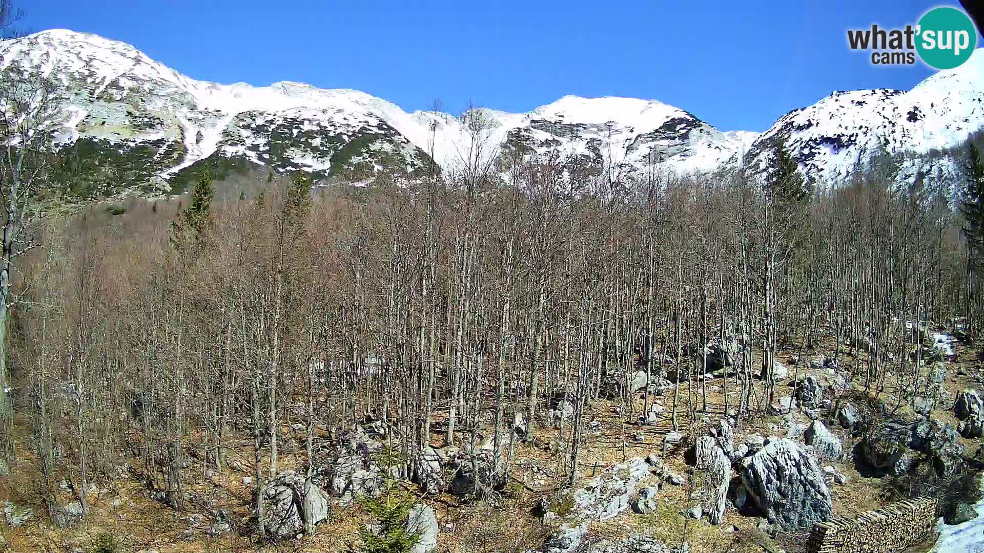 PLANINA RAZOR web kamera (1315) | pogled na Vogel i Globoko