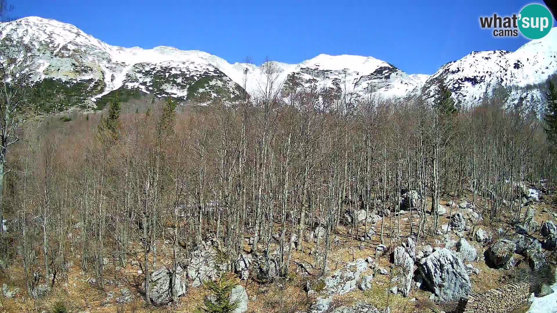 PLANINA RAZOR kamera (1315) | pogled na Vogel in Globoko