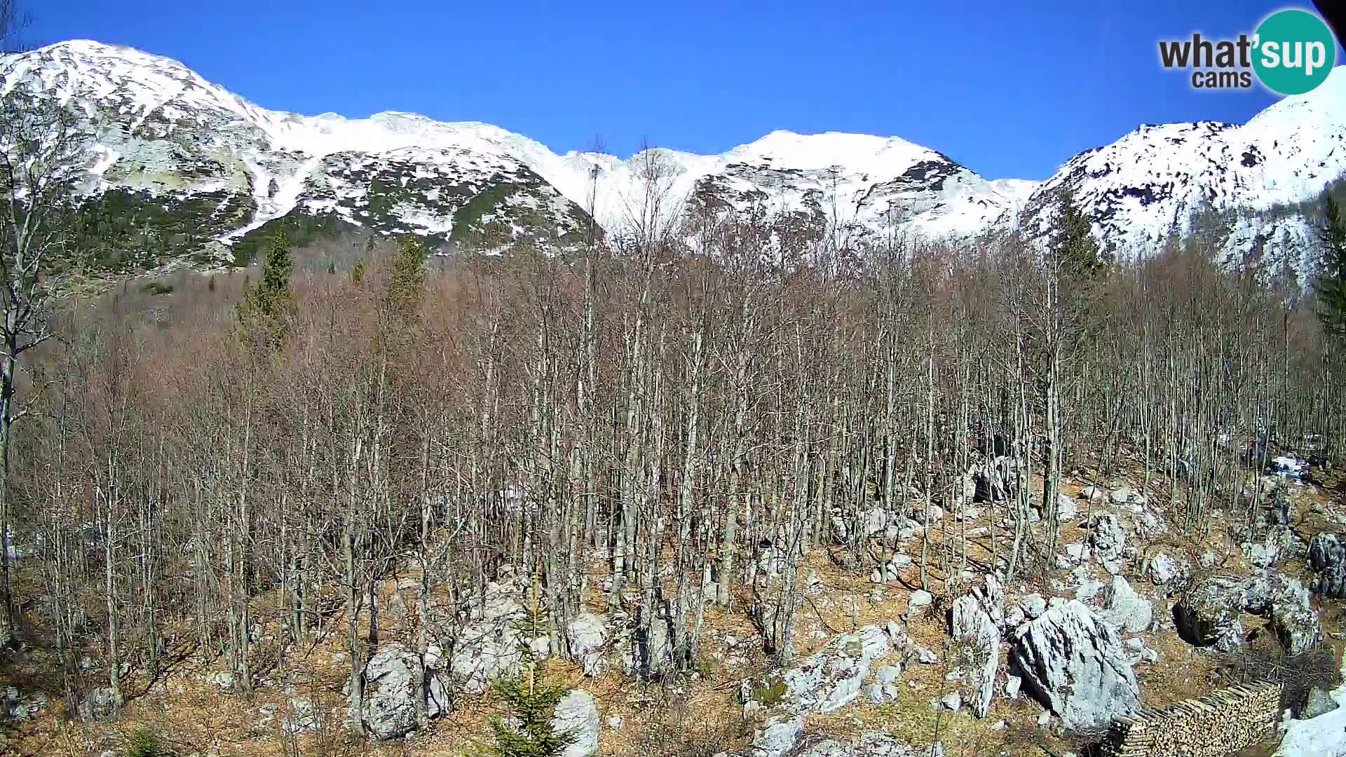 PLANINA RAZOR kamera (1315) | pogled na Vogel in Globoko