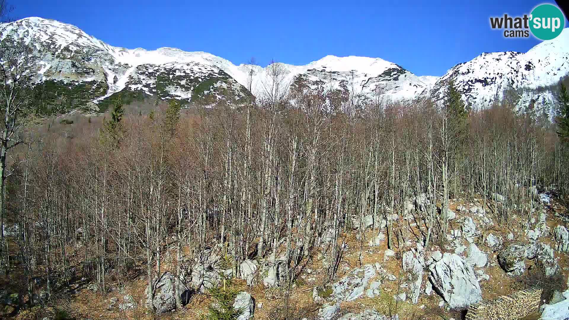 PLANINA RAZOR webcam (1315) | view to Vogel and Globoko