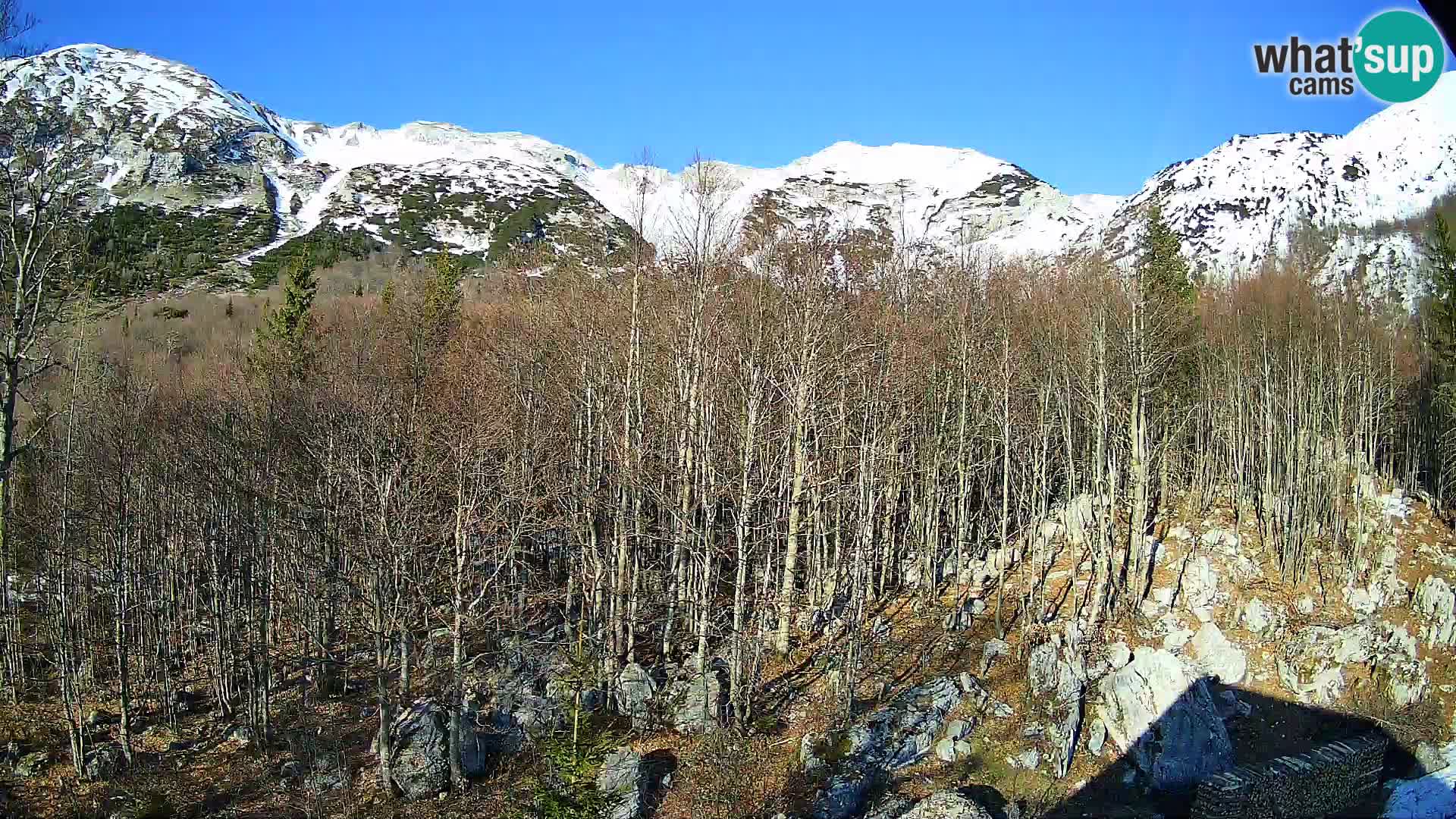 PLANINA RAZOR Live Cam (1315) | vista su Vogel e Globoko