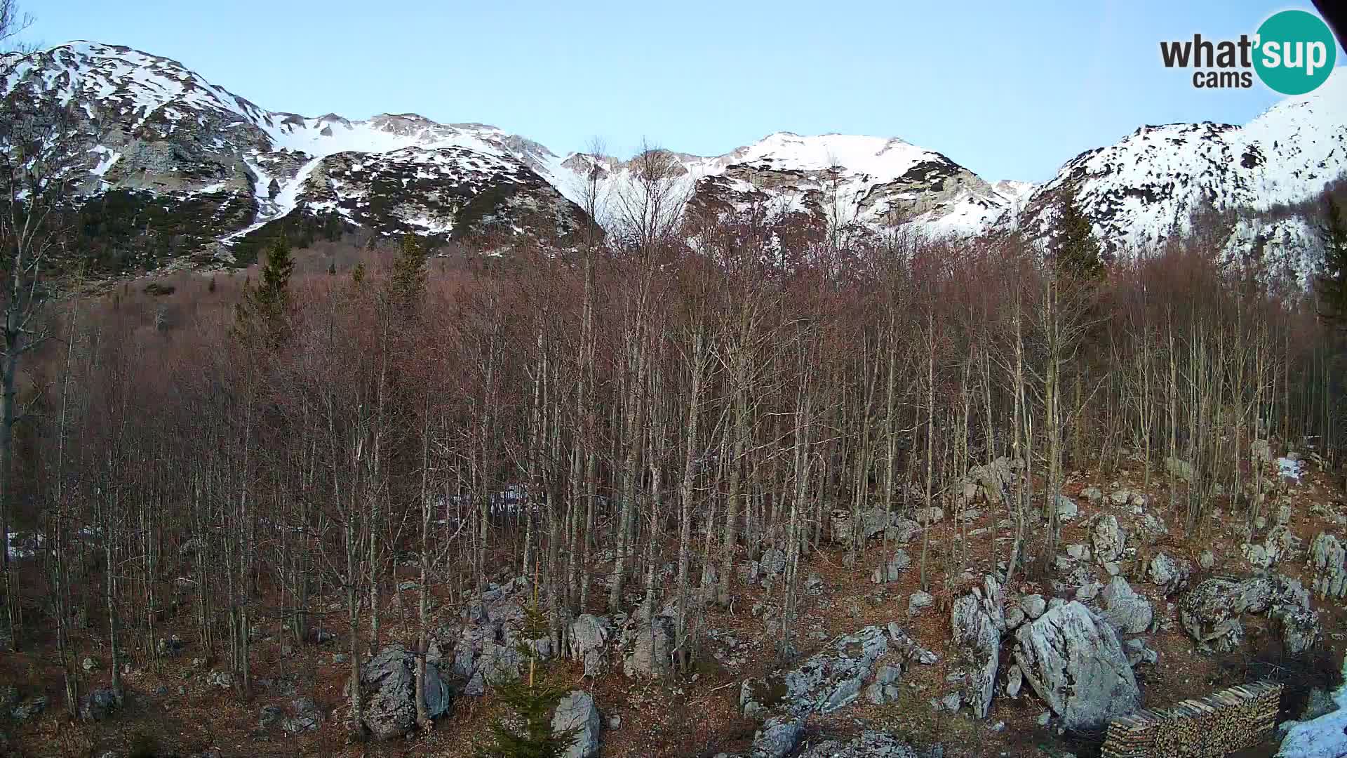 PLANINA RAZOR Live Cam (1315) | vista su Vogel e Globoko