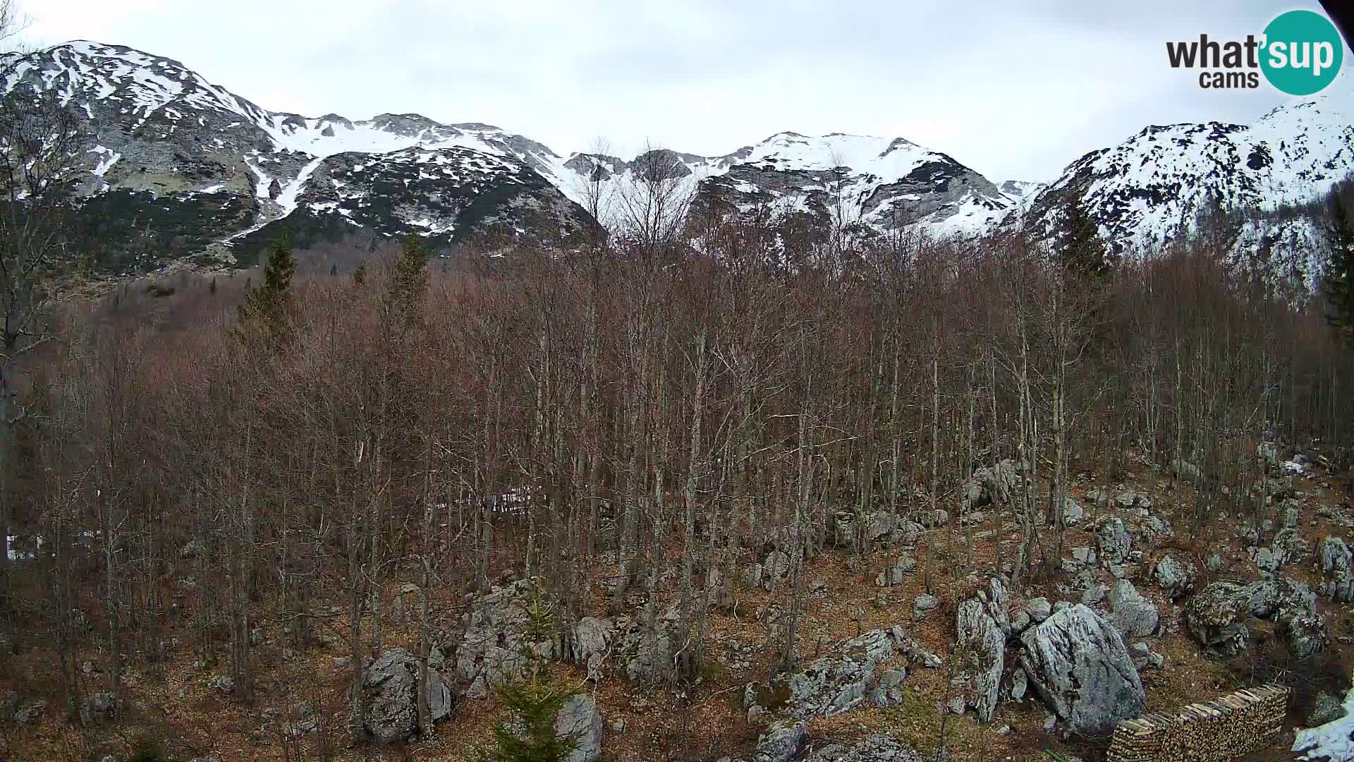 PLANINA RAZOR webcam (1315) | view to Vogel and Globoko