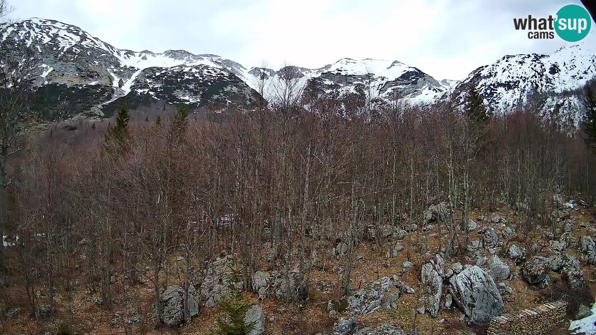 PLANINA RAZOR kamera (1315) | pogled na Vogel in Globoko