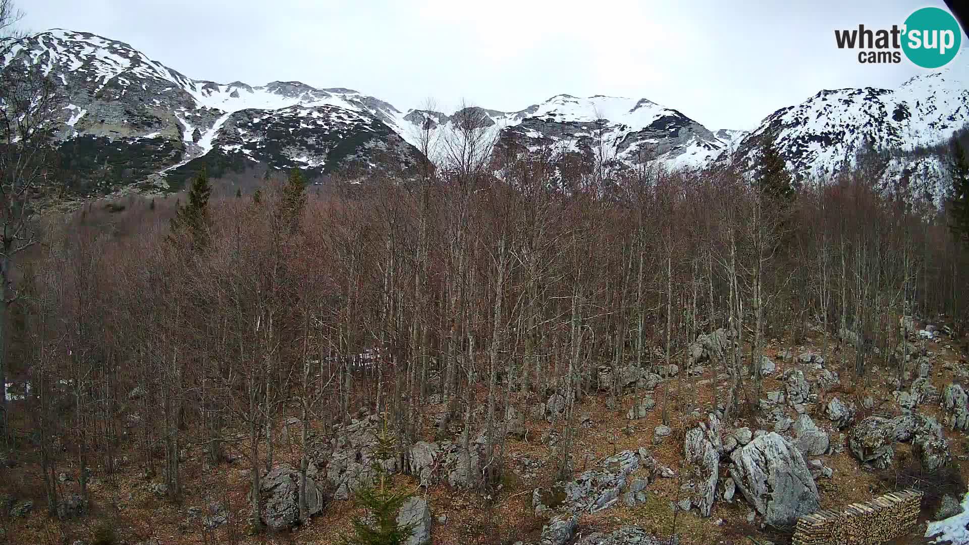 Webcam PLANINA RAZOR (1315) | Blick auf Vogel und Globoko