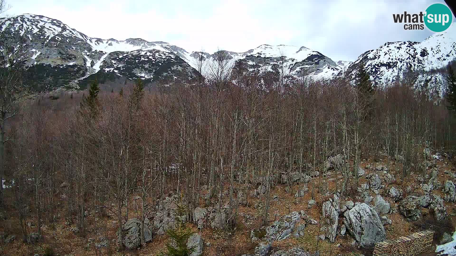 Cámara web PLANINA RAZOR (1315) | vista a Vogel y Globoko