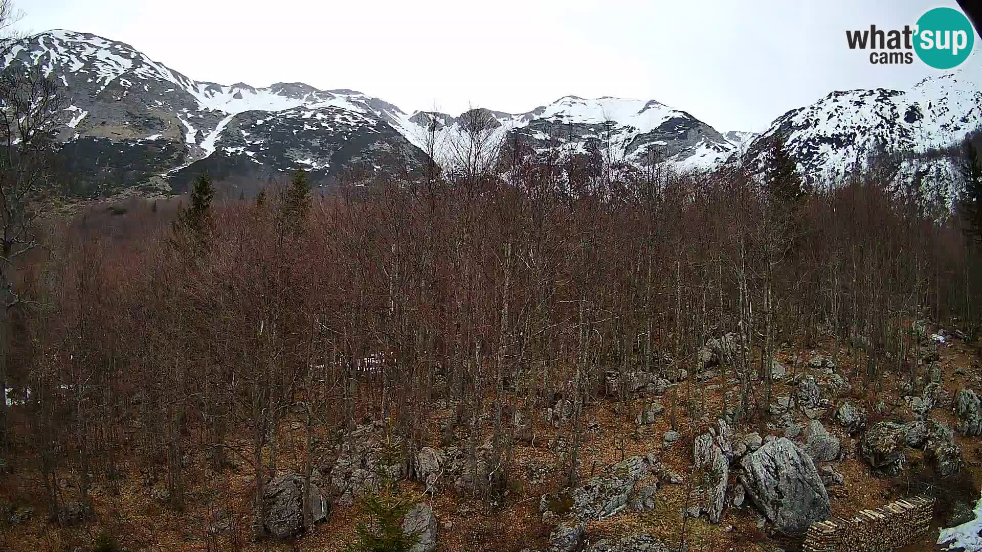 PLANINA RAZOR Live Cam (1315) | vista su Vogel e Globoko