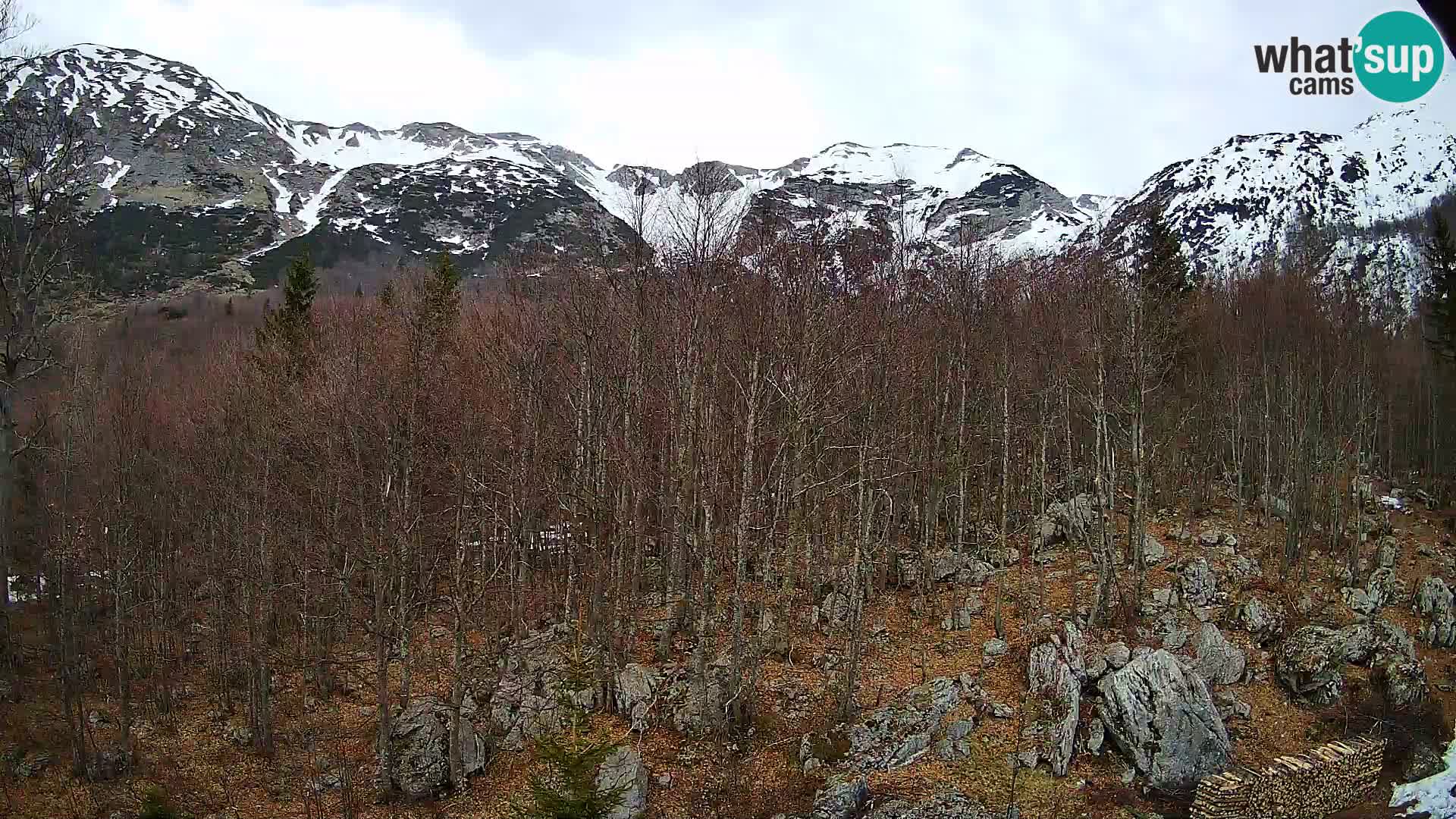 PLANINA RAZOR kamera (1315) | pogled na Vogel in Globoko