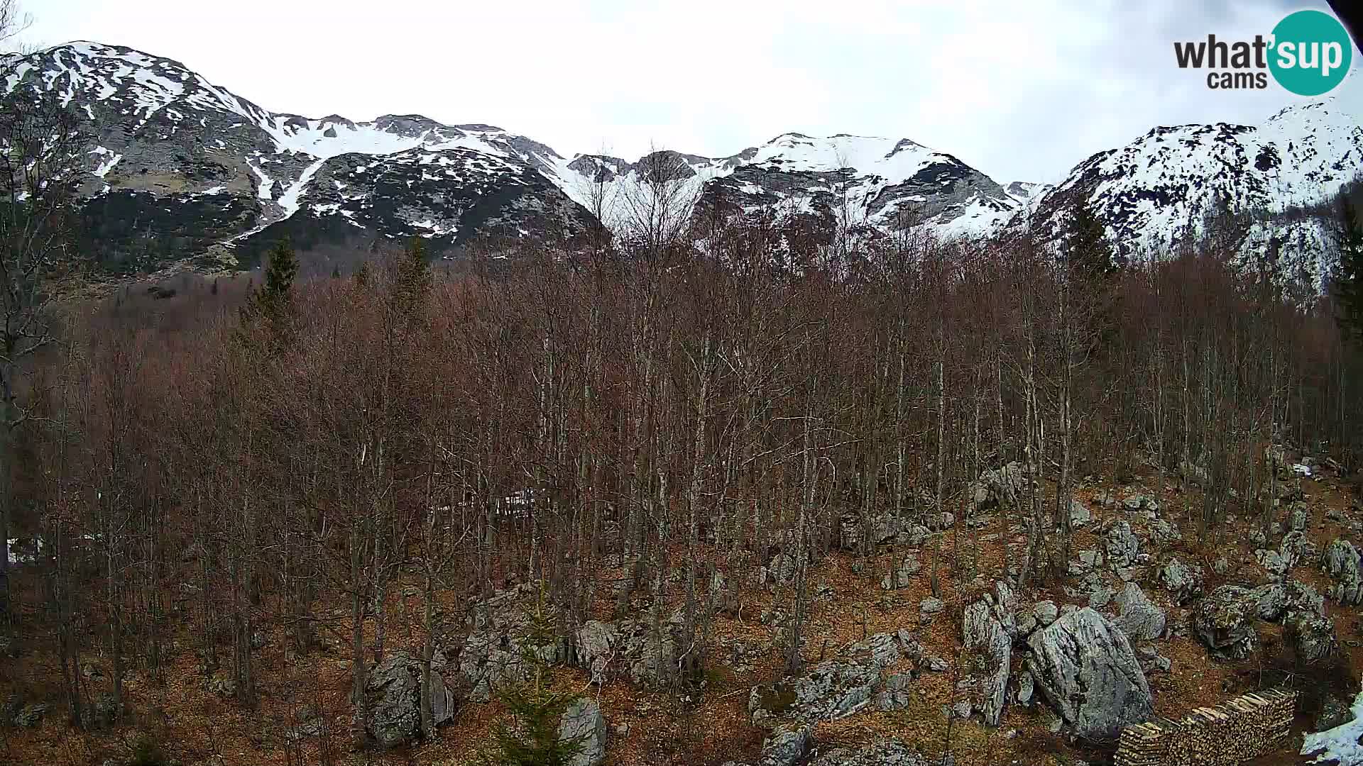 PLANINA RAZOR Live Cam (1315) | vista su Vogel e Globoko