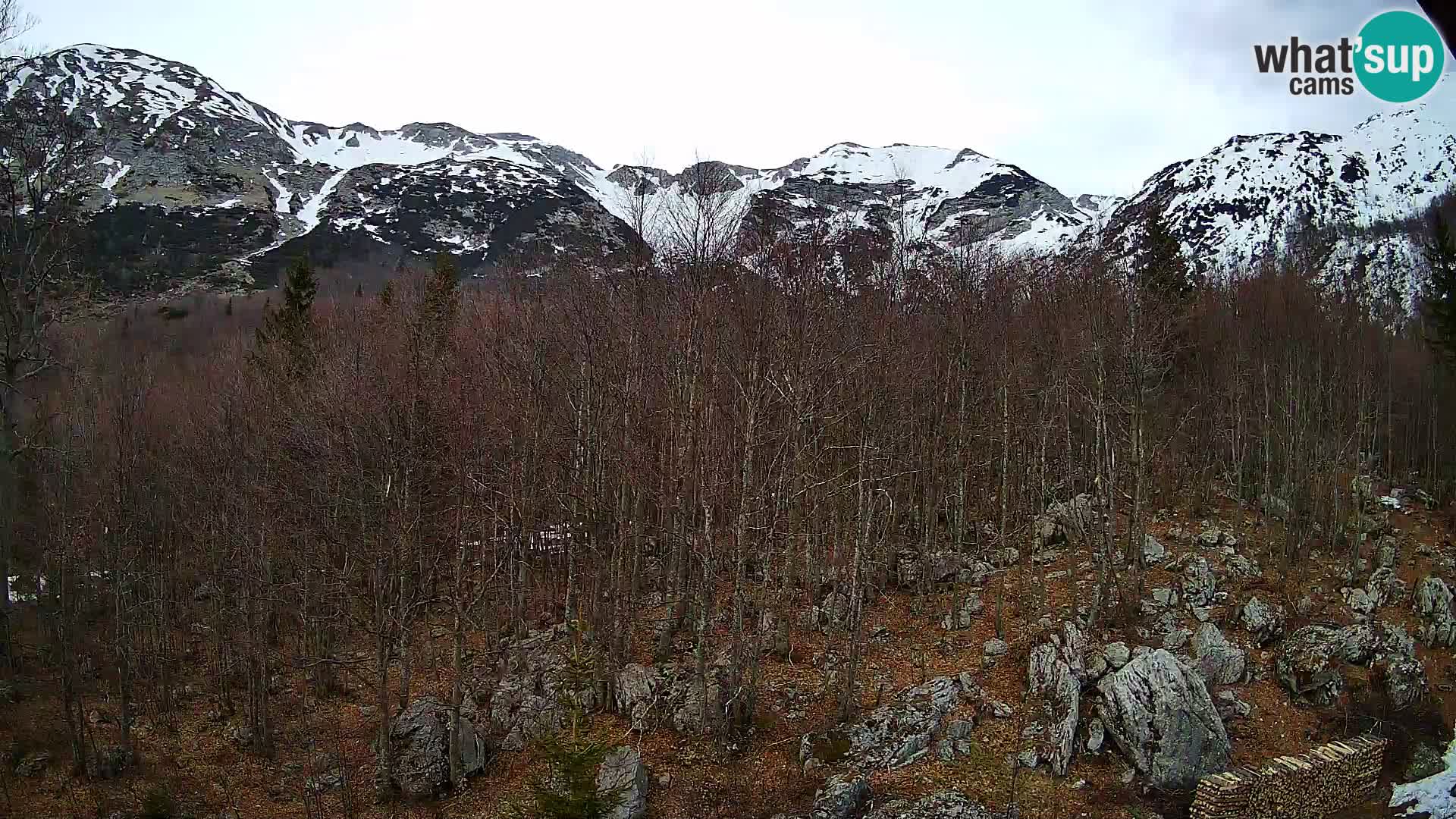 PLANINA RAZOR Live Cam (1315) | vista su Vogel e Globoko