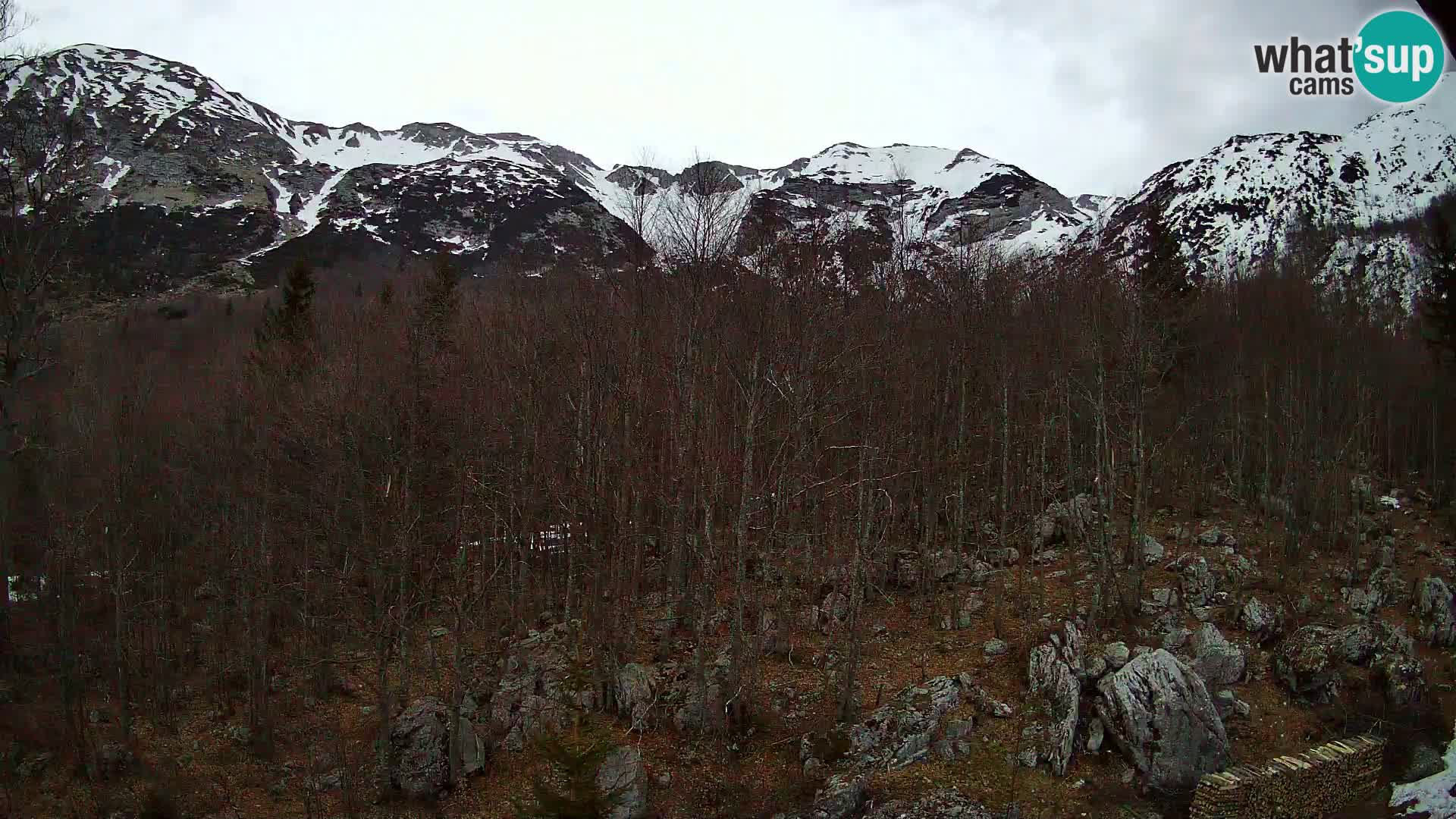 Webcam PLANINA RAZOR (1315) | Blick auf Vogel und Globoko