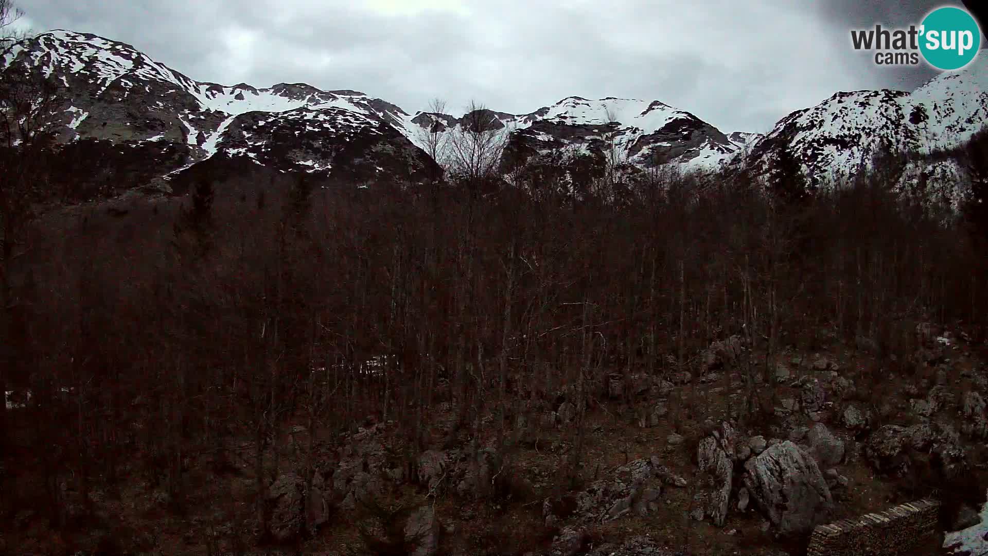 Webcam PLANINA RAZOR (1315) | Blick auf Vogel und Globoko