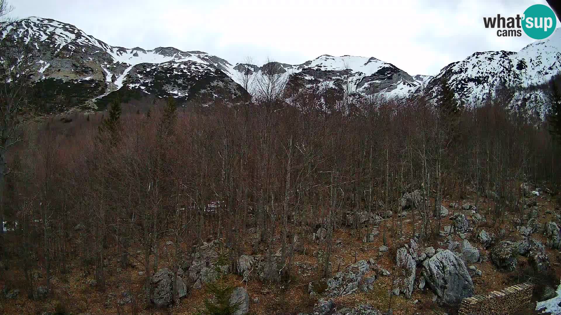 PLANINA RAZOR webcam (1315) | view to Vogel and Globoko