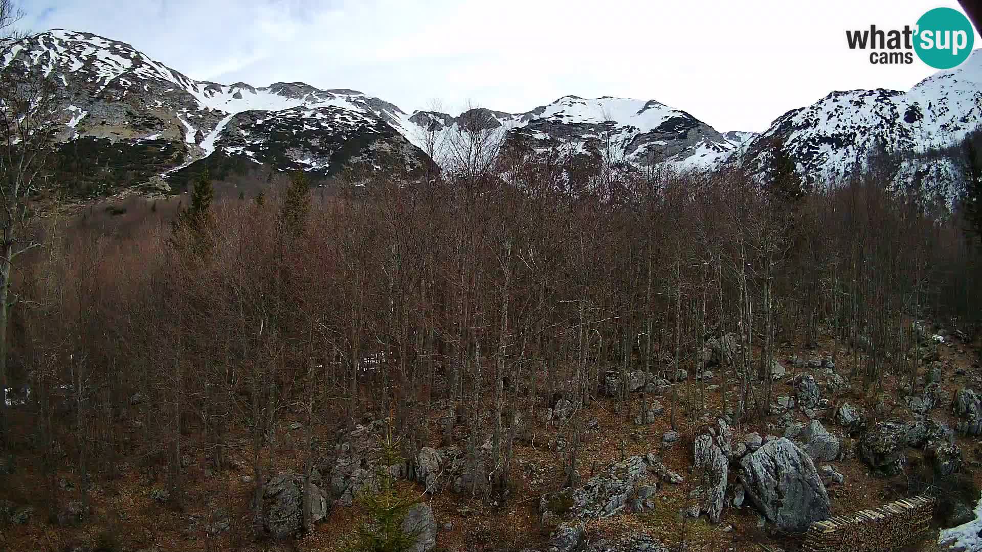 PLANINA RAZOR Live Cam (1315) | vista su Vogel e Globoko