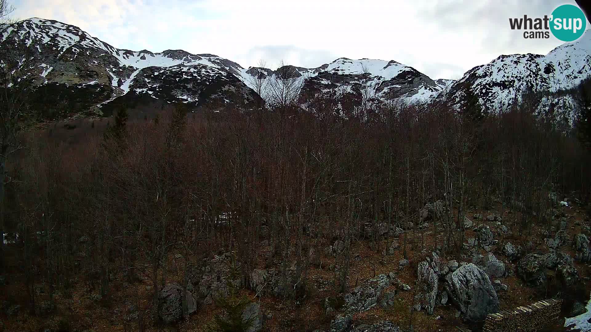 PLANINA RAZOR kamera (1315) | pogled na Vogel in Globoko