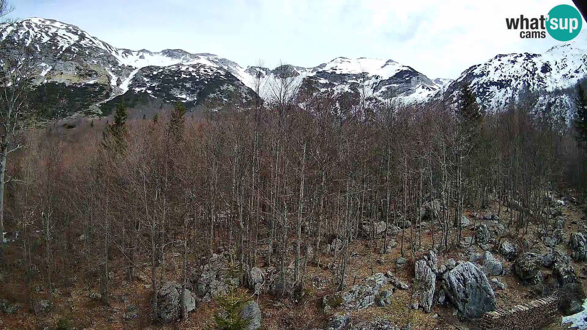 PLANINA RAZOR Live Cam (1315) | vista su Vogel e Globoko