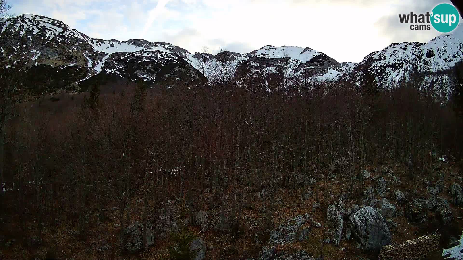 PLANINA RAZOR kamera (1315) | pogled na Vogel in Globoko