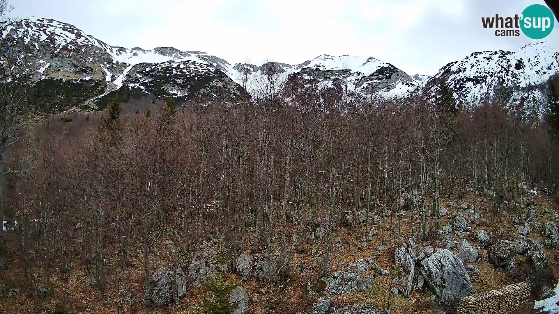 PLANINA RAZOR webcam (1315) | view to Vogel and Globoko