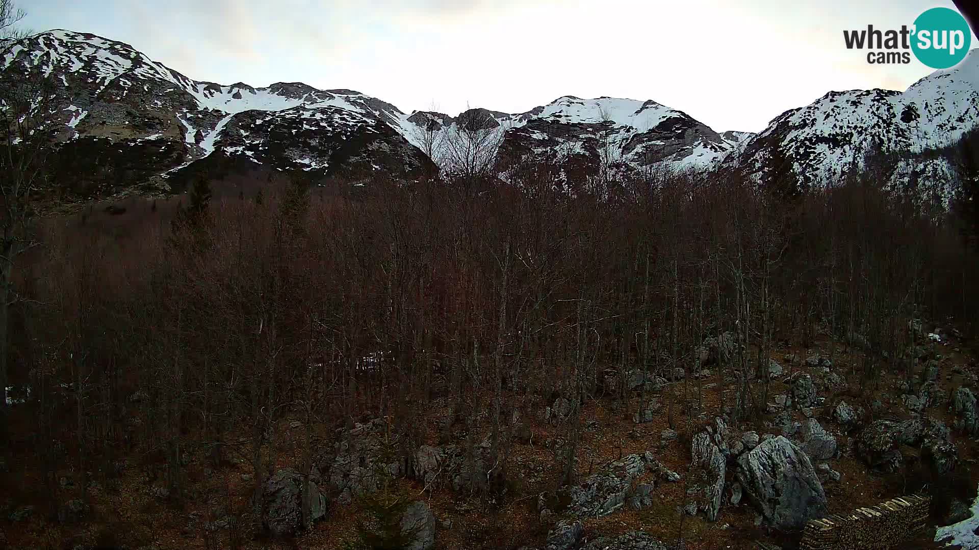 Webcam PLANINA RAZOR (1315) | Blick auf Vogel und Globoko