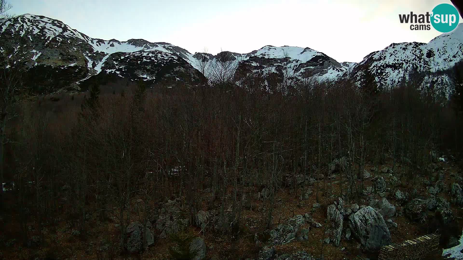 Webcam PLANINA RAZOR (1315) | Blick auf Vogel und Globoko